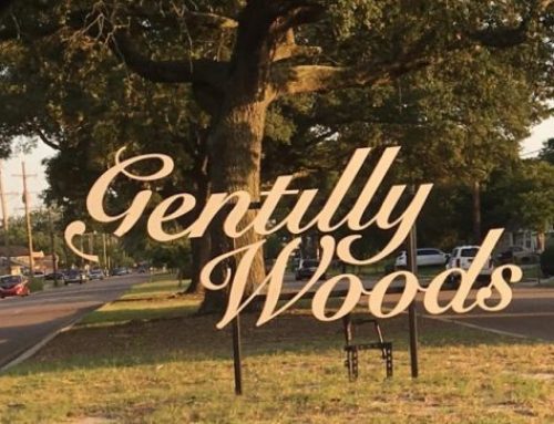 Gentilly Woods